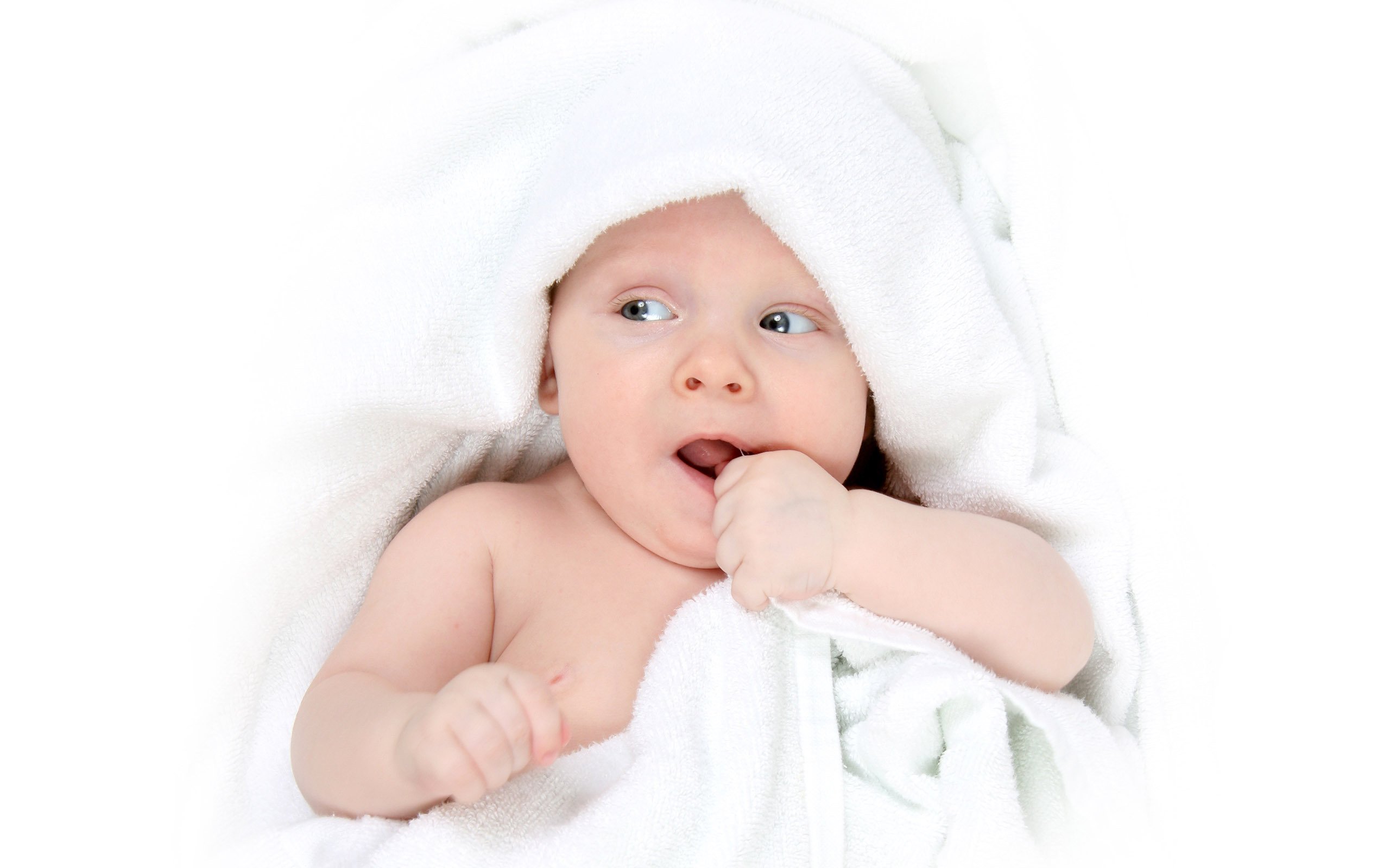 珠海捐卵机构试管婴儿成功率排行